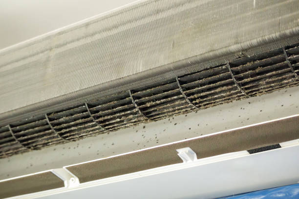 Best Air Duct Cleaning Near Me  in St Michaels, MD